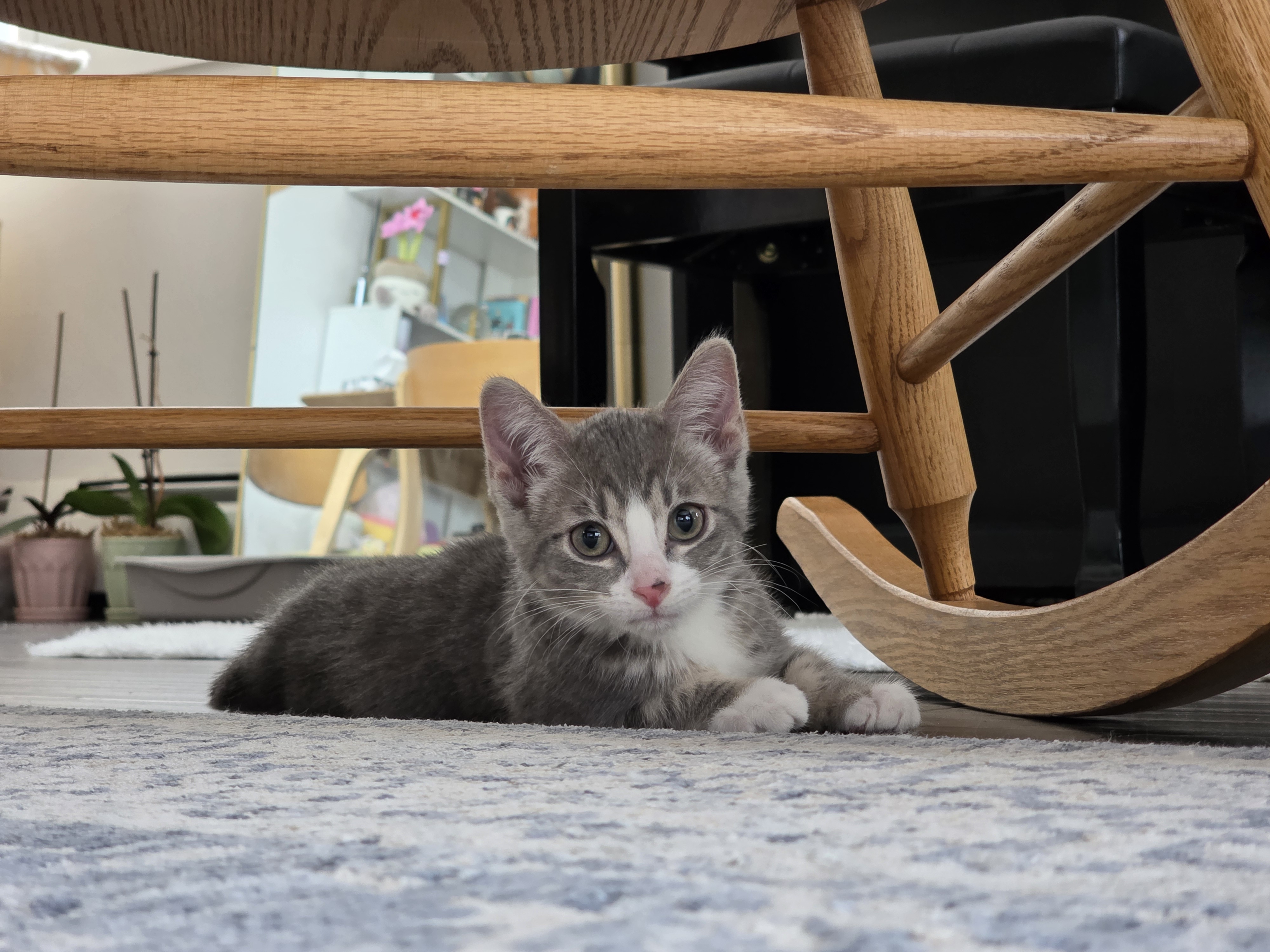 Foster Thinker